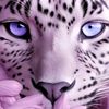 queenzy019