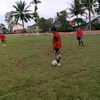 bal.bal719