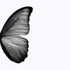 rudina.eqbal09