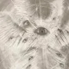 seraphim.was.here