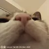 mohammedk_2