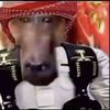 7cjrr_n