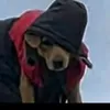 soarespereira1998