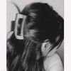 princess.5191