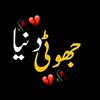 malik.8381