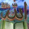 mdjamalhossain4686
