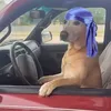 diiantoo