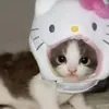 l.b0z0_1