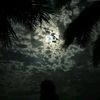 saad.tcomee24