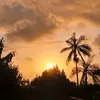 pedrociton