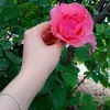 user8309336719291