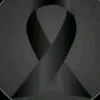 emiljano.drizi