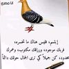 user1412437421042