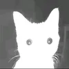 userqyfhkq5t8s