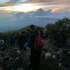 sandi_3310
