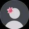 paaulla.9