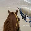 nasrin_anas24