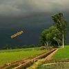 fida.mardan8