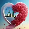 user8888680526781
