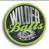Wilder Ball Pythons