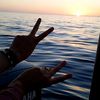 youcef198f