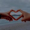 sief.shref2