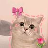 sclyx.rara