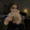 lli_al9