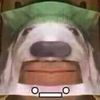 papubv74