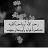 noha11noha