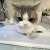 selena_starie
