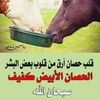 طارق طارق