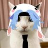 lunita_pokemon