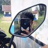 raditbego595