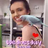 kateenaclemens16