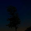 alone_boy_ff204