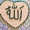 user8442699746920n