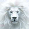 nabeelyounis34gma