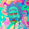 user_ofir_the_king