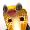 tolachiphj