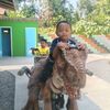 pujiastuti.61