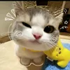 bthyyy_1409