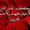 user4395762251143