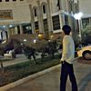 lioncik1