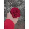 user6866775571481