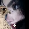 klili_505