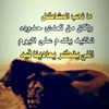 user1706169847800