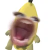 naparabangtt