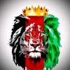 afg.faiter