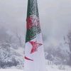 hamdihamdi9503